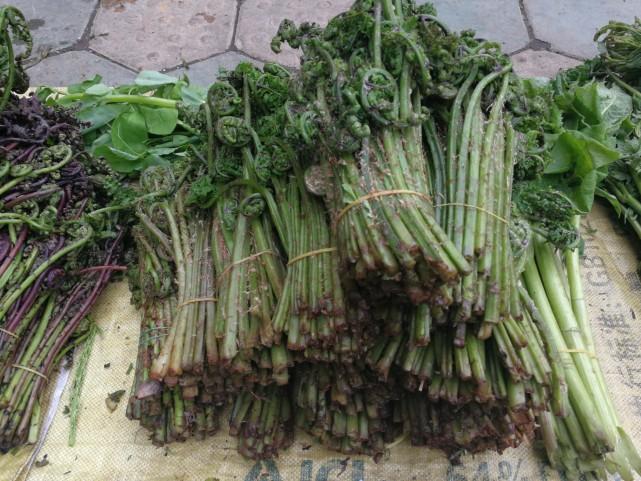 吉林，历史底蕴与现代发展的融合探索