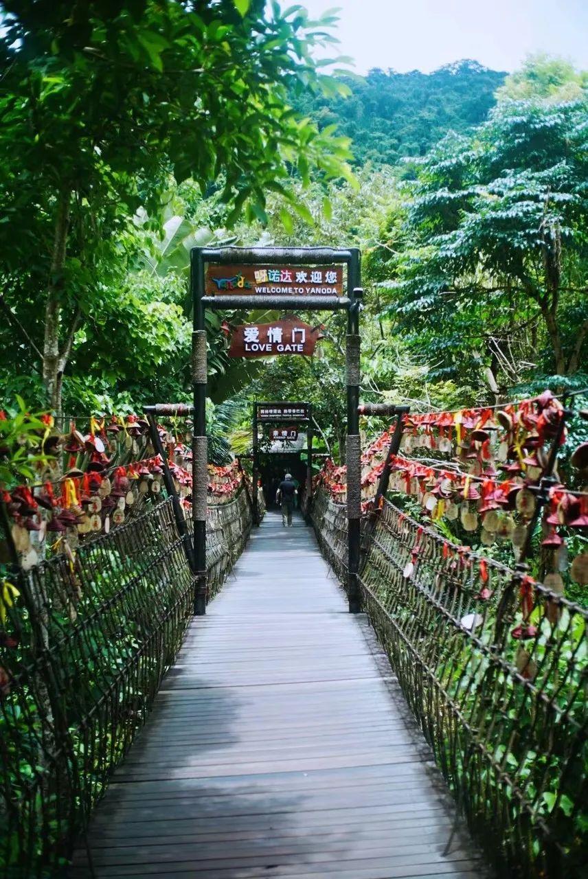 阳光海岸线，海南热带风情假期探秘之旅🌴🌞
