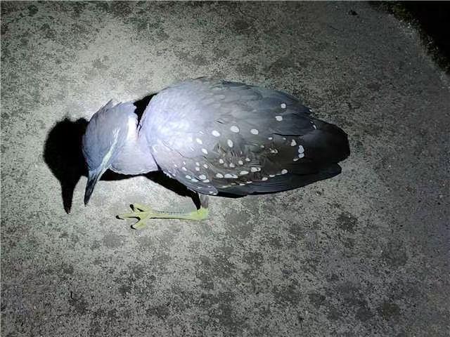 阳光海岸线,海南热带风情假期探秘之旅🌴🌞