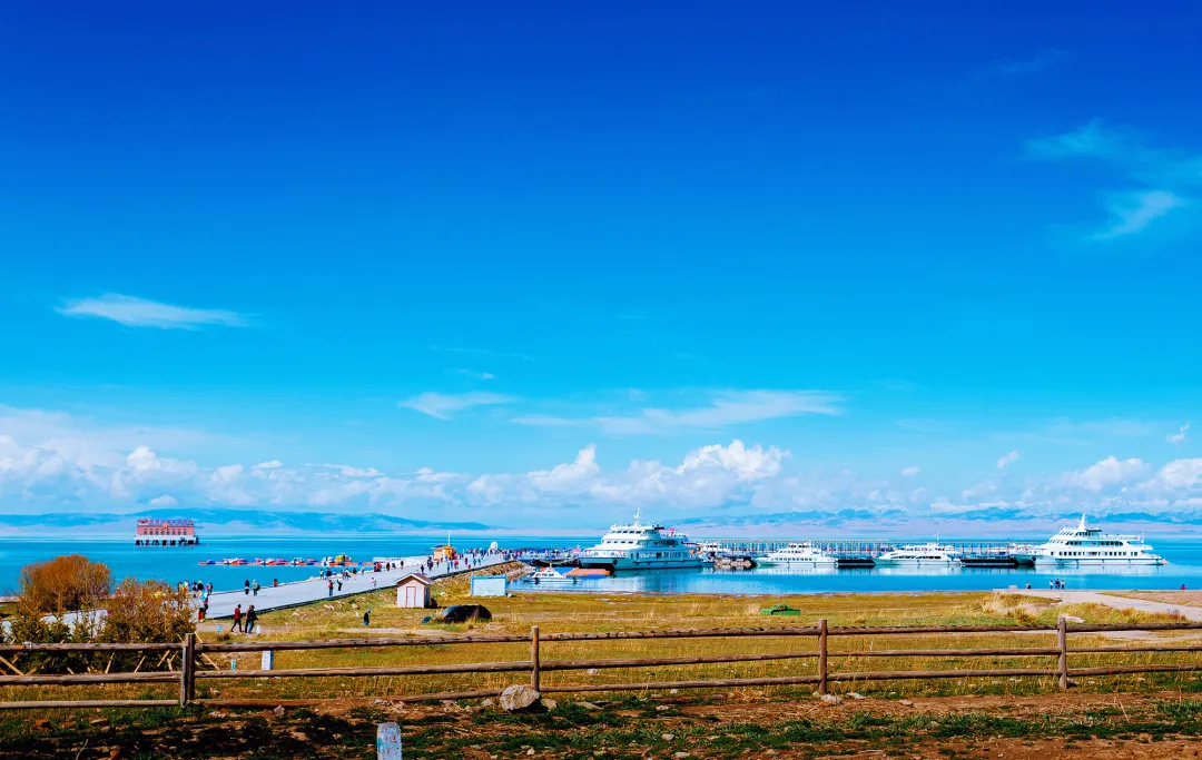 青海深巷里的秘密花园，一家隐藏的特色小店揭秘