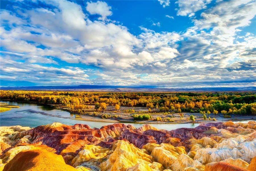 新疆小巷深处的绝味小店探秘