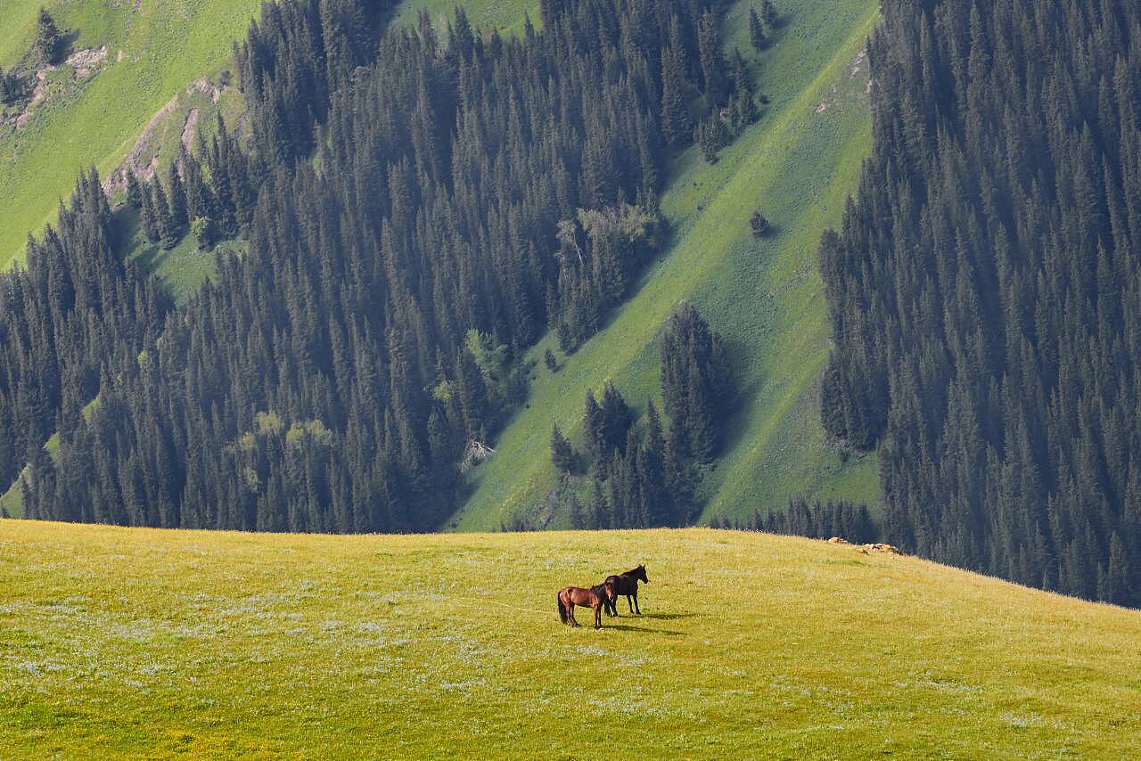 新疆小巷深处的绝味小店探秘